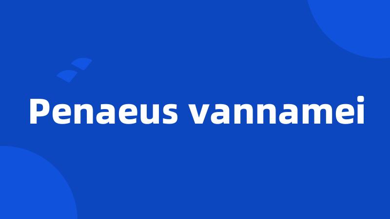 Penaeus vannamei