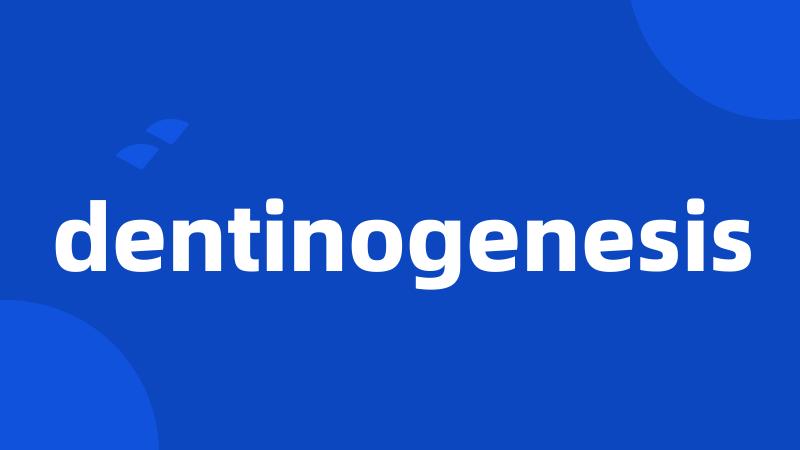 dentinogenesis