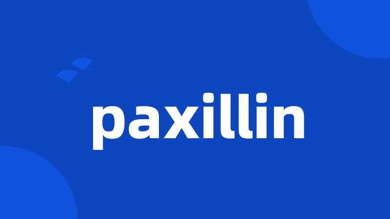 paxillin