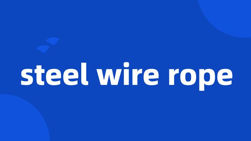 steel wire rope