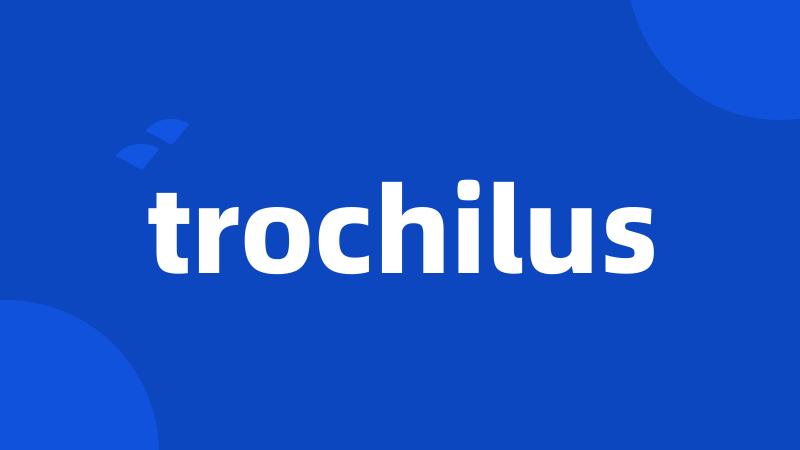 trochilus