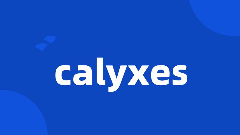 calyxes