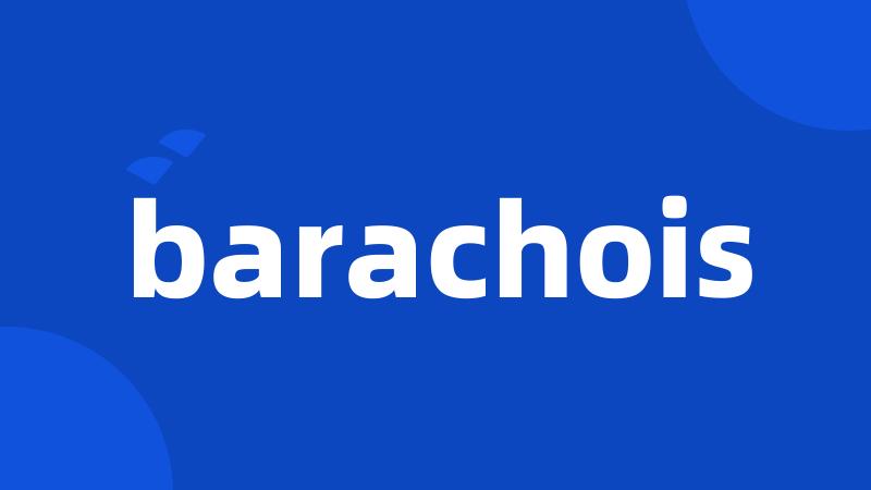 barachois