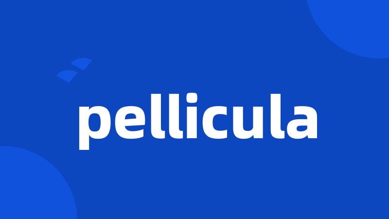 pellicula