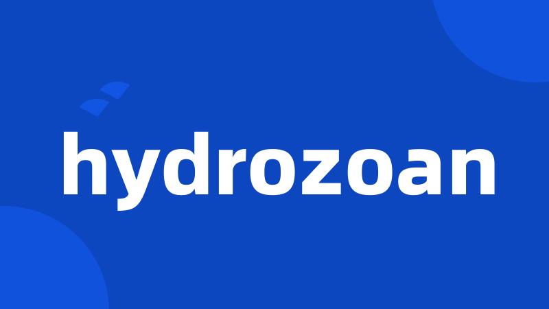 hydrozoan