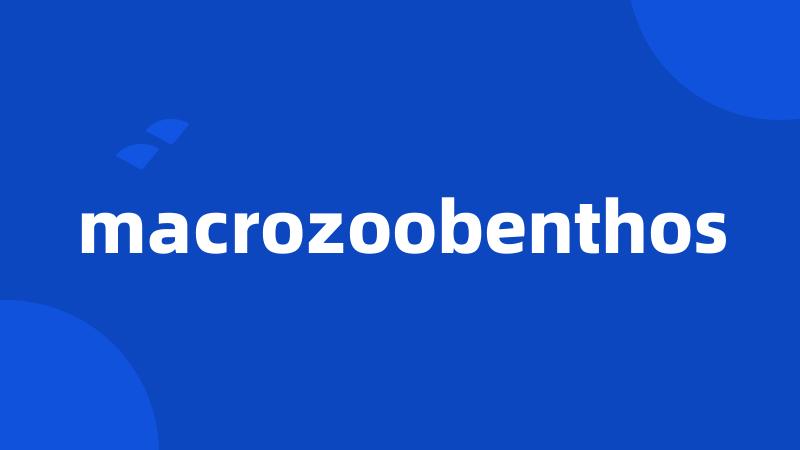 macrozoobenthos