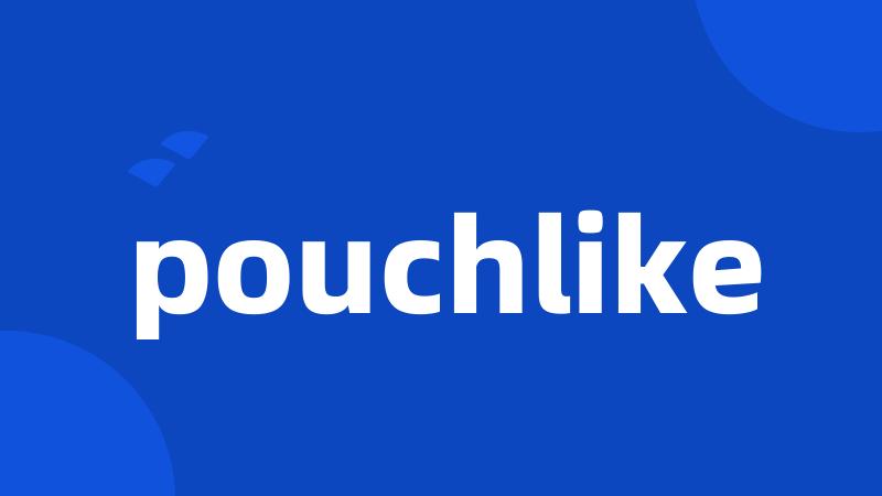 pouchlike