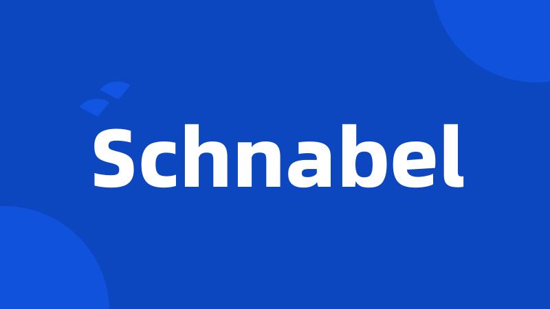 Schnabel