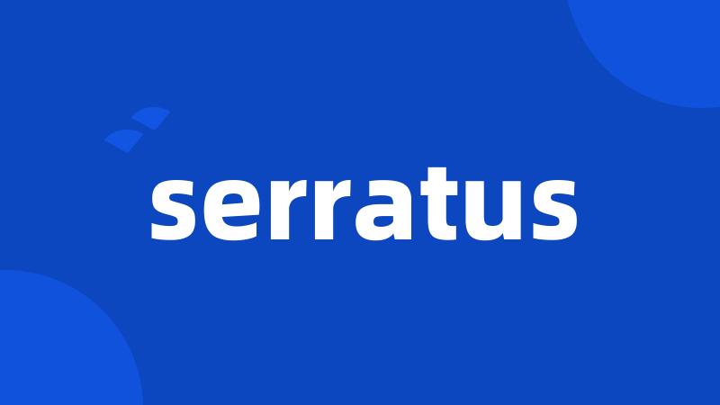 serratus