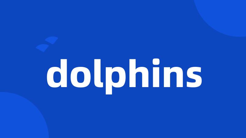 dolphins