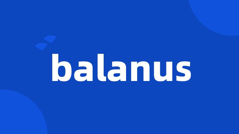 balanus