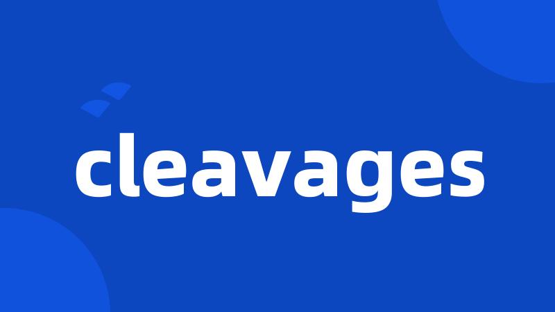 cleavages