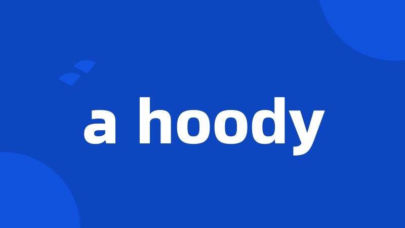 a hoody