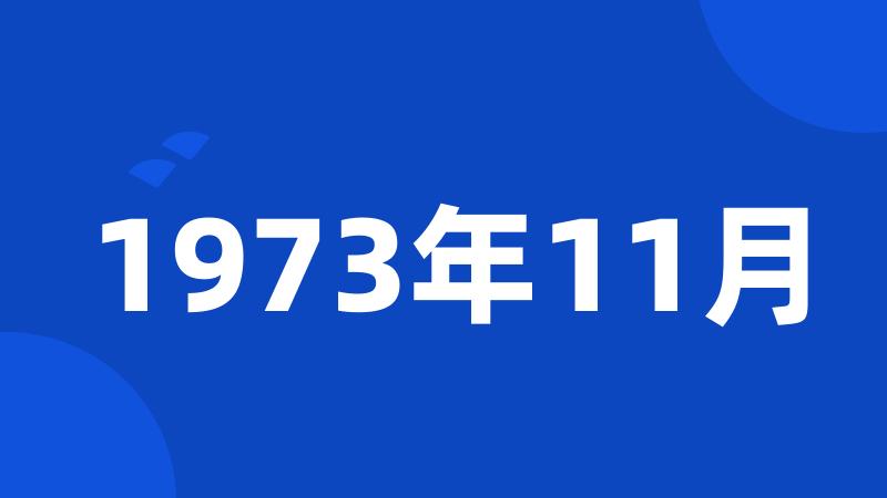 1973年11月