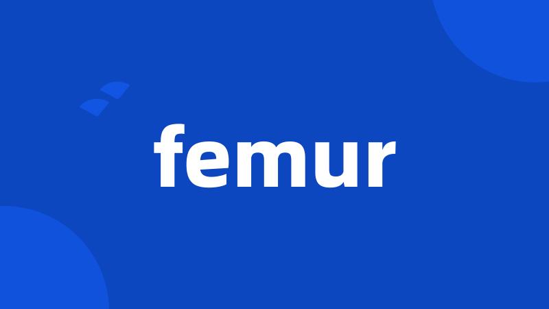 femur