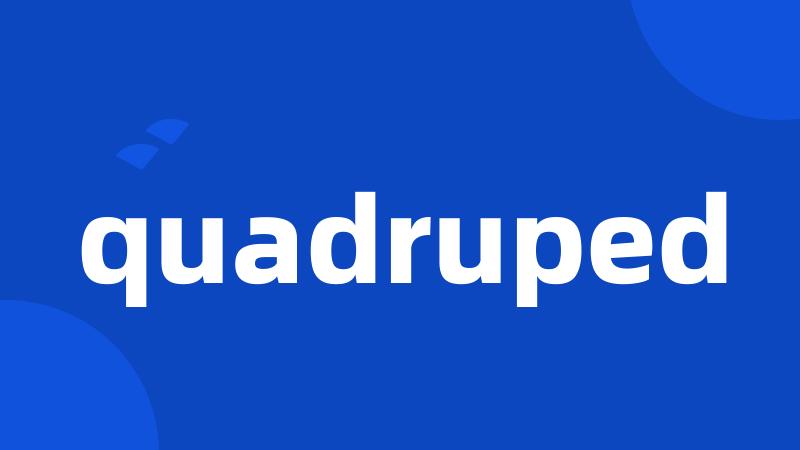 quadruped