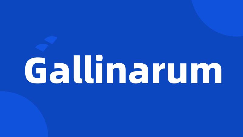 Gallinarum