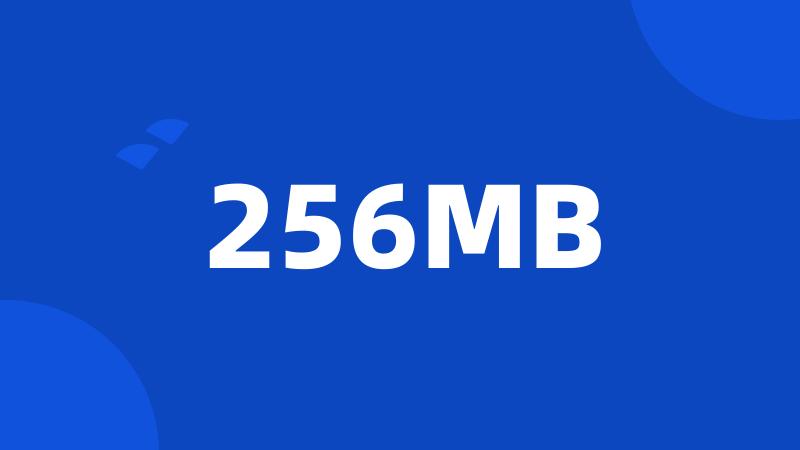 256MB