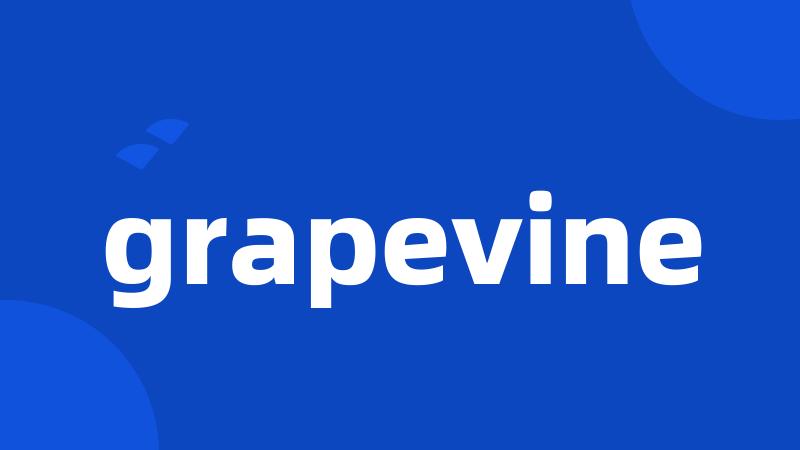 grapevine