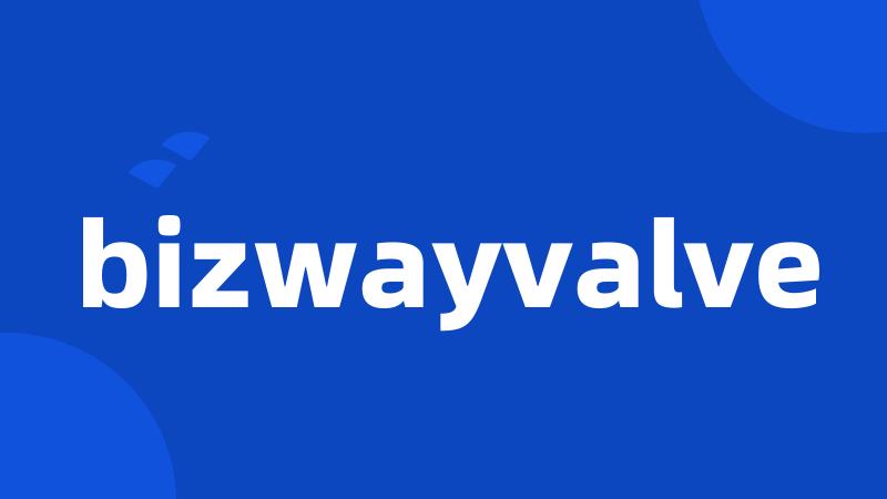 bizwayvalve