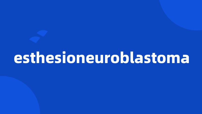 esthesioneuroblastoma