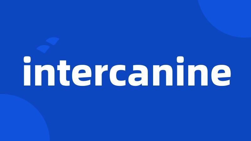 intercanine