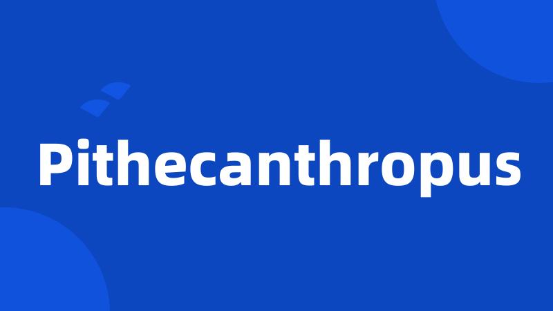 Pithecanthropus