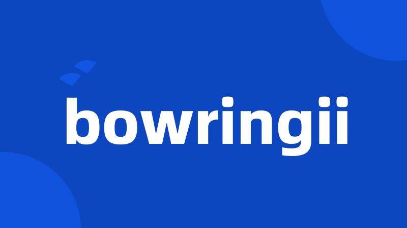 bowringii