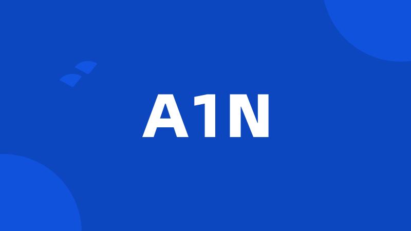 A1N