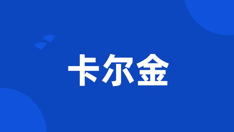 卡尔金