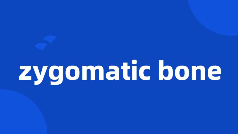 zygomatic bone