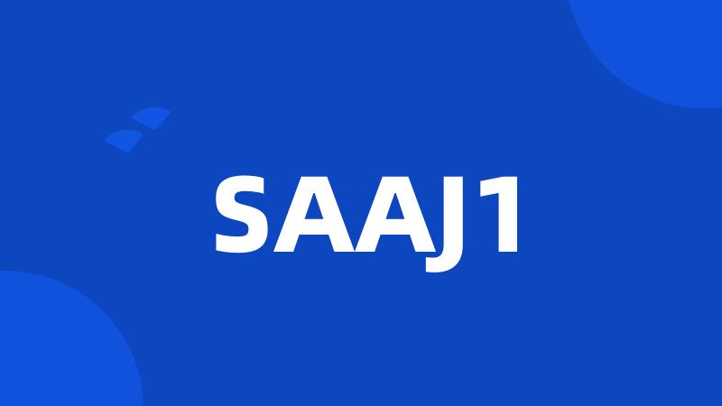 SAAJ1