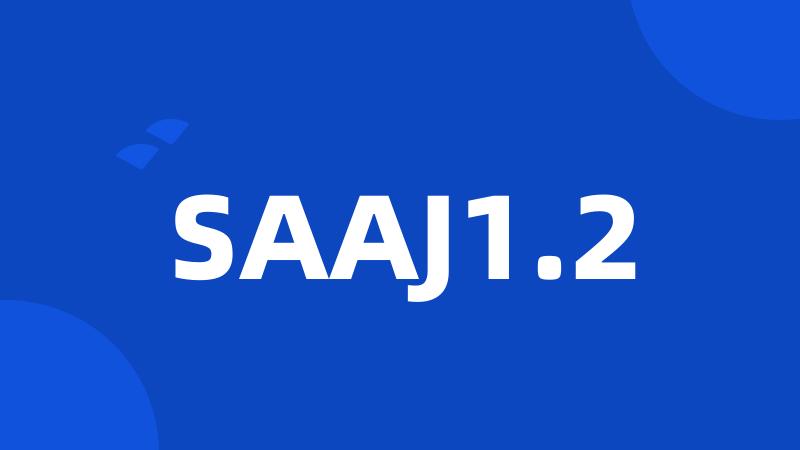 SAAJ1.2