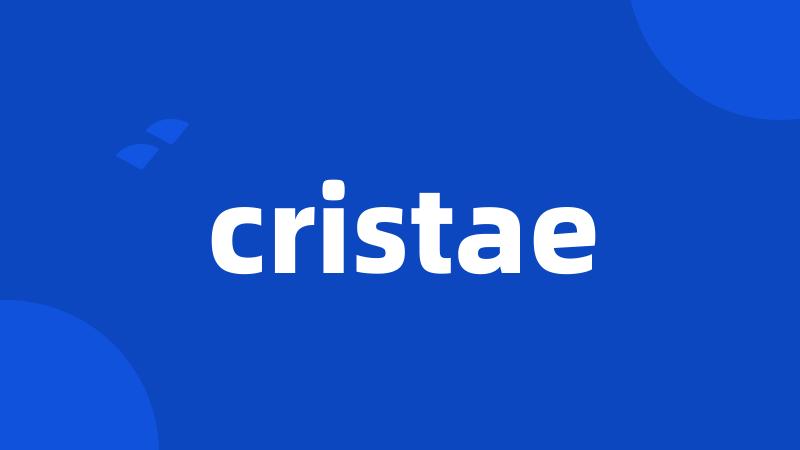 cristae