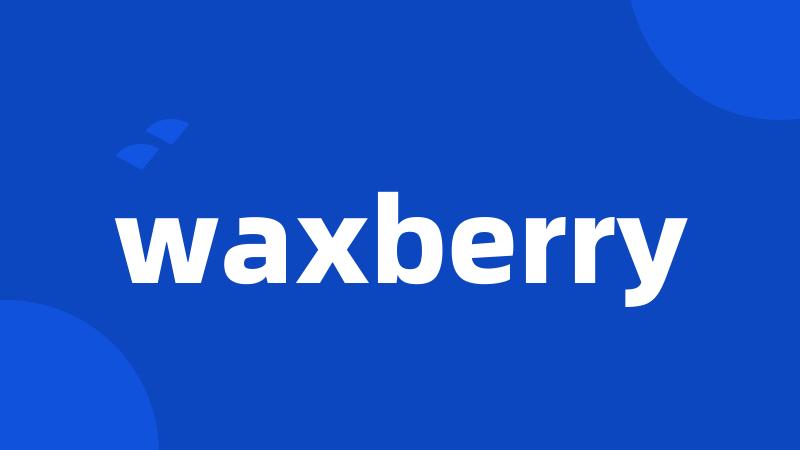 waxberry