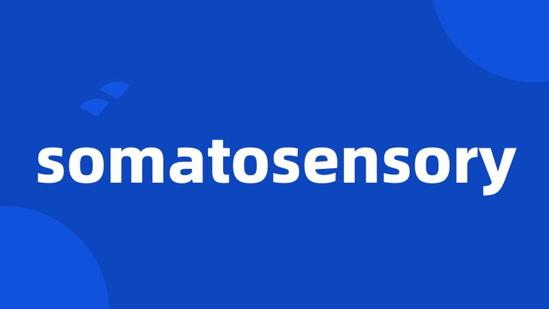 somatosensory