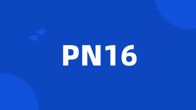 PN16