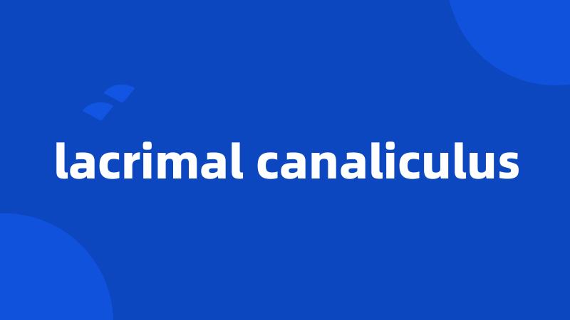 lacrimal canaliculus