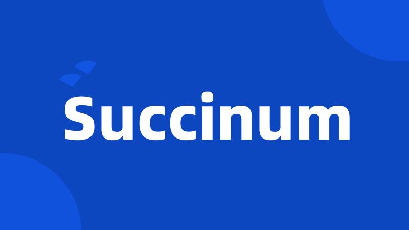 Succinum