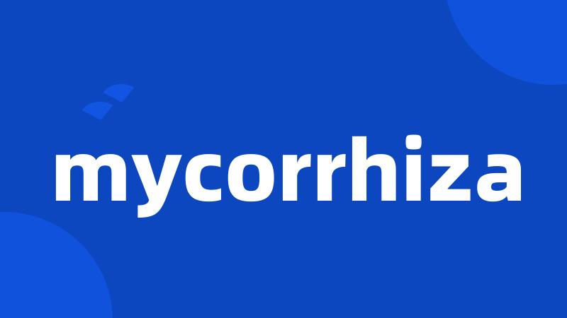 mycorrhiza