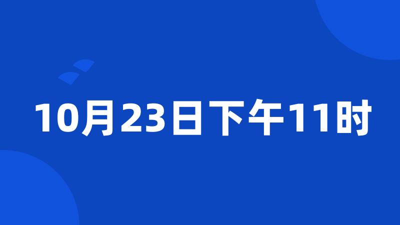 10月23日下午11时