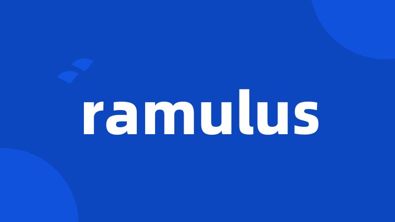 ramulus