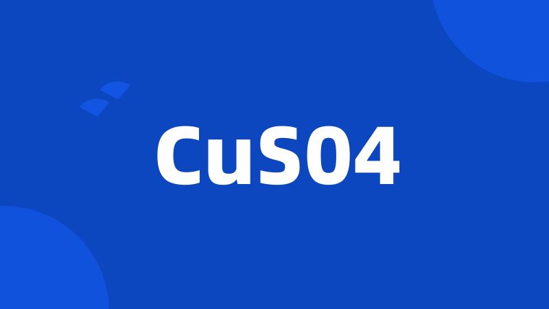 CuS04