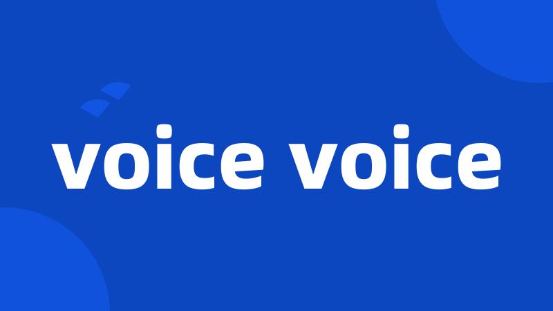 voice voice