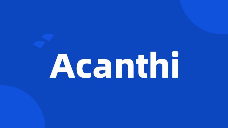 Acanthi