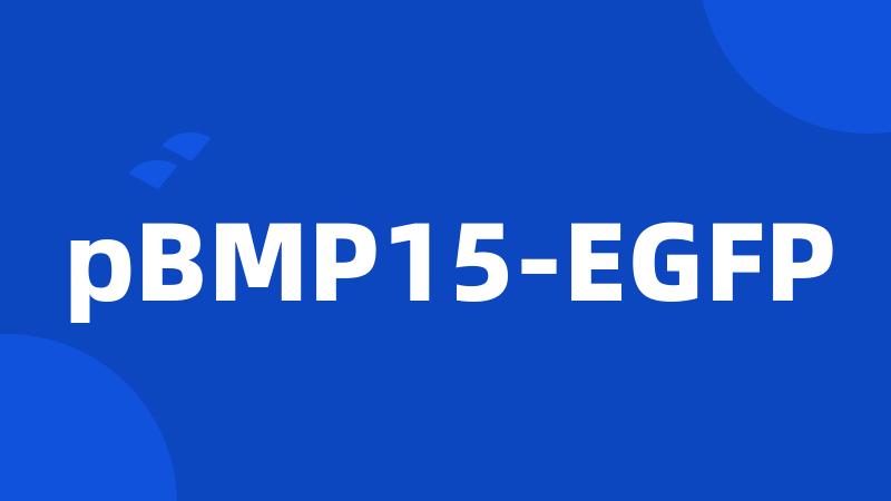 pBMP15-EGFP