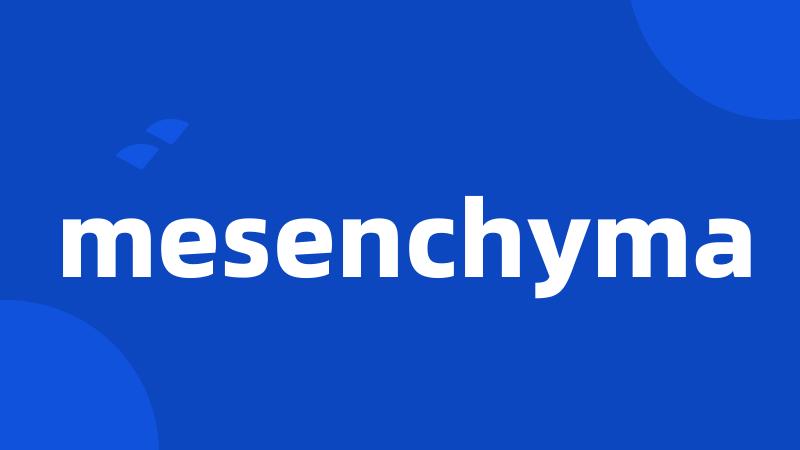 mesenchyma