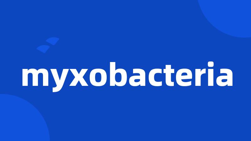 myxobacteria