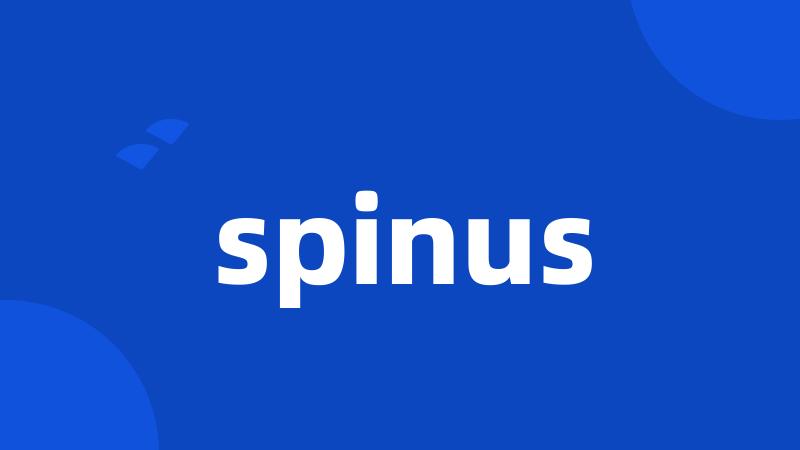 spinus