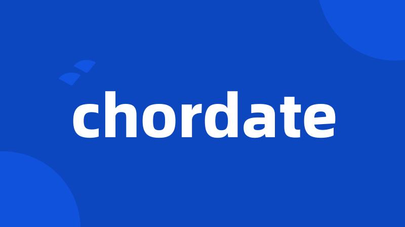 chordate